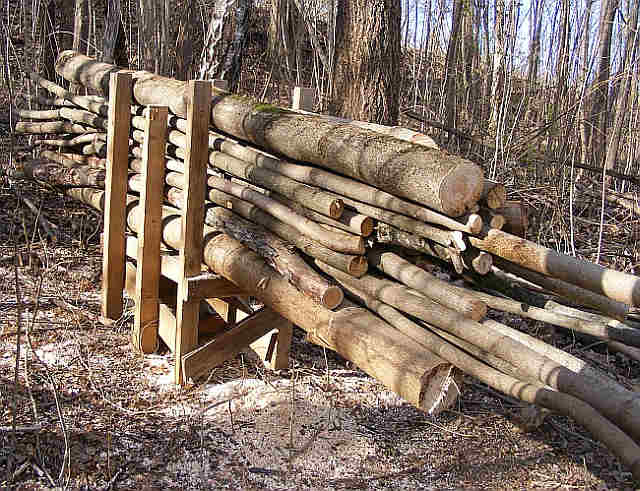 Cutting Firewood